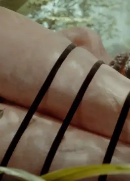 Lara (Lushe) [Tomb Raider]